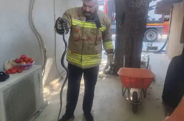 Antakya’da eve giren yılan ekipler tarafından yakalandı
