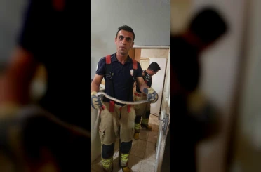 Antakya’da evlere giren yılanlar yakalandı 
