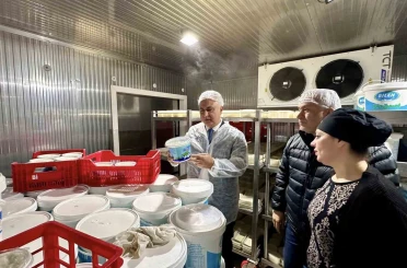 Antakya’da süt ürünleri üreten firma incelendi 