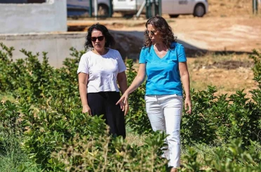 Antalya’da aronya ve böğürtlen hasadı bereketi 