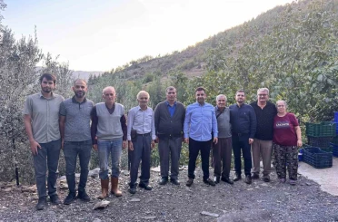 Antalya’da coğrafi işaretli çekirdeksiz narın hasadı başladı 