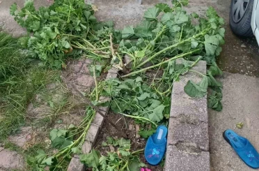 Antalya’da küçük çocuk ikinci kattan düştü, olayı kırıklarla atlattı 