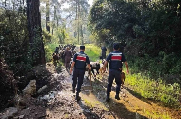 Antalya’da sürüden ayrılıp kaybolan 41 keçi jandarma tarafından bulundu 