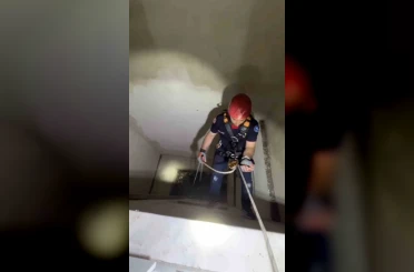 Apartman boşluğuna düşen yavru martı ekiplerce kurtarıldı 