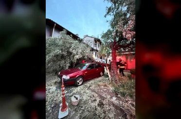 Araç üzerine düşen ağaç itfaiye ekiplerinin titiz çalışmasıyla kaldırıldı 
