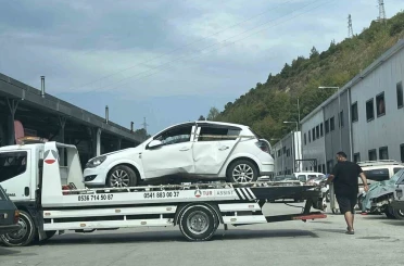 Araca giren arı, kazaya yol açtı: 2 yaralı 
