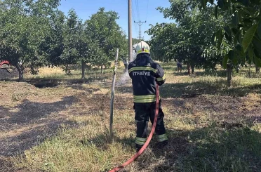 Arazi yangınları büyümeden söndürüldü 