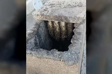 Arılar binanın bacasında oğul verdi 