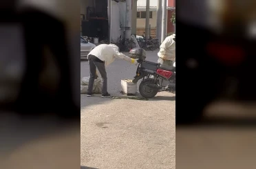 Arılar motosiklette oğul verdi 