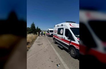 Arının neden olduğu kazada 1 kişi hayatını kaybetti, 4 kişi yaralandı 