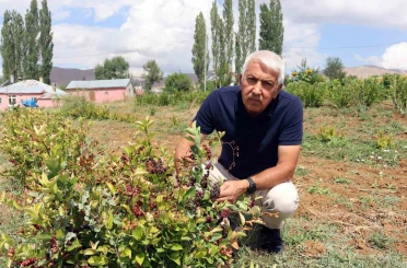 Aronya ile ilçeyi kalkındıracaklar
