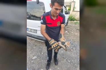 Arsuz’da aracın kaputuna giren kediyi itfaiye kurtardı 