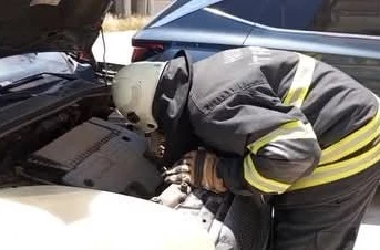 Arsuz’da aracın motor kısmına giren yavru kedi kurtarıldı 