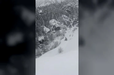 Artvin’de kar ulaşımı vurdu: 120 köy yolu kapalı 