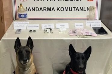 Artvin’de uyuşturucu operasyonu 
