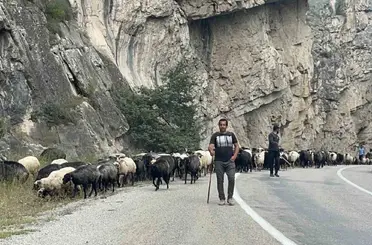 Artvin’de yaylalardan dönüş başladı
