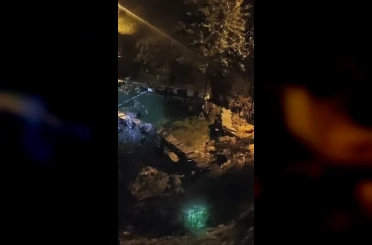 Artvin’in Borçka ilçesinde arı kovanları gece sel suları ve heyelana kapıldı 