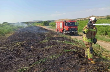 Aşırı sıcaklar Manisa’yı ateş çemberine çevirdi 