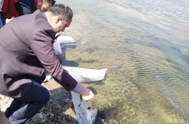 Aslanapa Kureyşler Göleti’ne 140 bin sazan yavrusu bırakıldı 