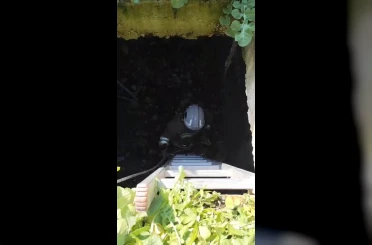 Atık su deposuna düşen kediyi kurtaran itfaiyeci, alkışlarla karşılandı 