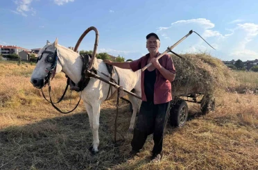 Atıyla doğaya çıkıp küçükbaş hayvanları için tırpanla ot biçiyor 