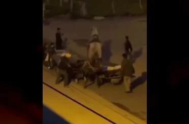 Atlara işkence kamerada 