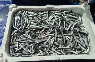 Av yasağı öncesi pazarda yoğunluk 