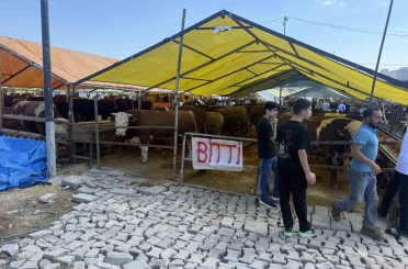 Avcılar’da kurbanlıkların büyük kısmı tükendi, satıcılar çadırlara ‘Bitti’ yazısını astı 