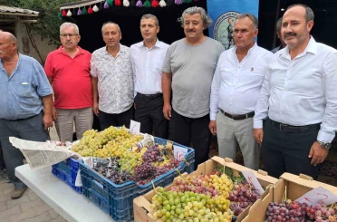 Avşar Üzümü coğrafi işaretle tescillendi 
