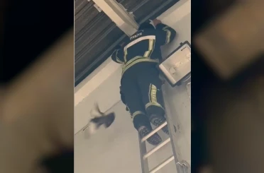 Ayağı ipe dolanan güvercin, itfaiyenin müdahalesiyle kurtuldu 