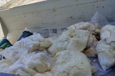 Aydın’da 11 ton süt ürünü imha edildi 