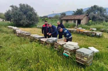 Aydın’da ana arı üretim kovanları denetlendi 