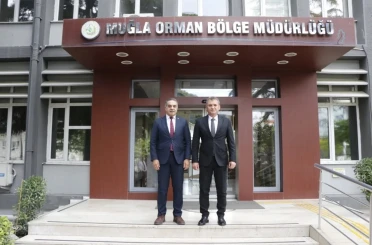 Aydın’da kestane ağaçları biyolojik mücadele ile korunuyor 