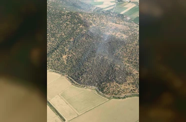 Aydın’da zeytinlikteki yangın söndürüldü 