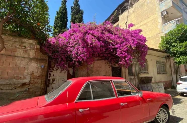 Aydın’ın cadde ve sokakları çiçek açtı 