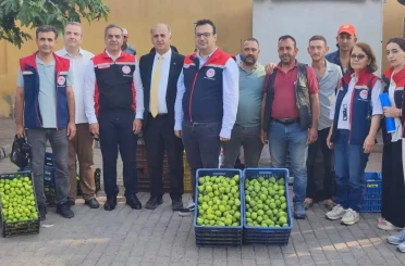 Aydın’ın dünya markası inciri için sahada yoğun mesai 