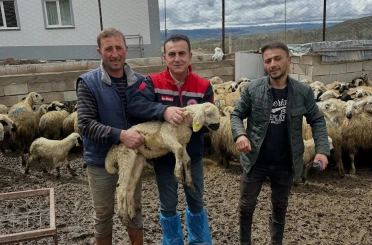 Aydıntepe’de küçükbaş hayvan tespitleri sürüyor 