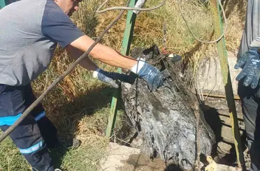 Ayvalık ıslak mendillerden dertli
