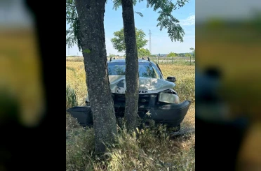 Babaeski’de ağaçlara çarpan otomobilin sürücüsü yaralandı 