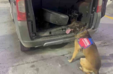Bagaj ve kaputa gizlenen uyuşturucuyu narkotik köpeği ‘Ayar’ buldu 