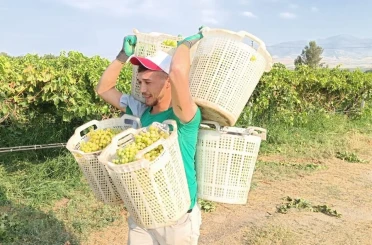 Bağların Herkül’ü 120 kilo taşıdı 