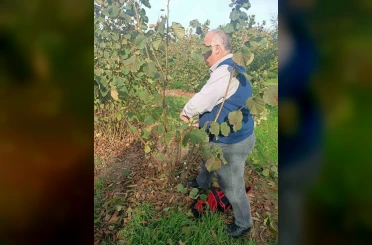 Bahçelerde toprak analizi ve zararlı tespiti 