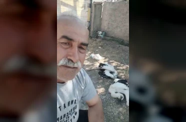 Bahçesindeki leyleklerin öldüğünü görünce gözyaşlarına boğuldu 
