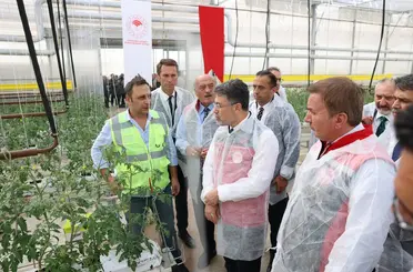 Bakan Yumaklı, Erzincan’daki jeotermal sera alanını inceledi
