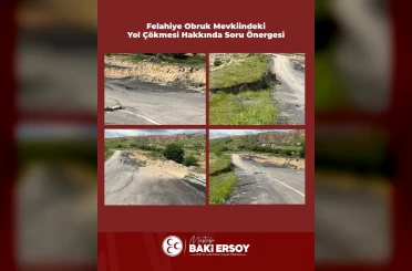 Baki Ersoy, Felahiye’de çöken yolu TBMM gündemine taşıdı 