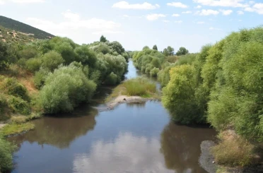Bakırçay Ovası’nı kuraklık vurdu 