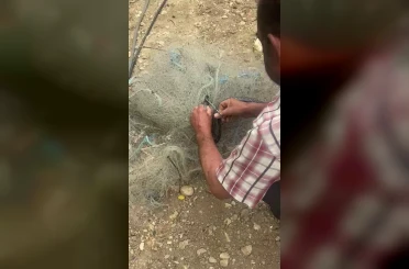 Balık ağında mahsur kılan yılanı elleriyle kurtardı 