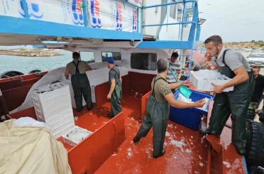 Balık fiyatları 1 ay sonra ucuzlayacak 