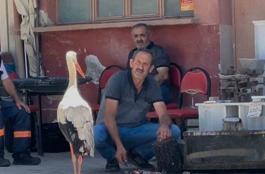 Balıkçı Ahmet ile leyleğin 10 yıllık kahvehane randevusu 
