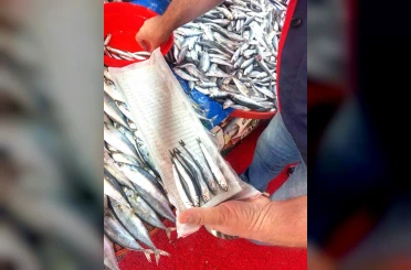 Balıkçı esnafına yönelik denetim 